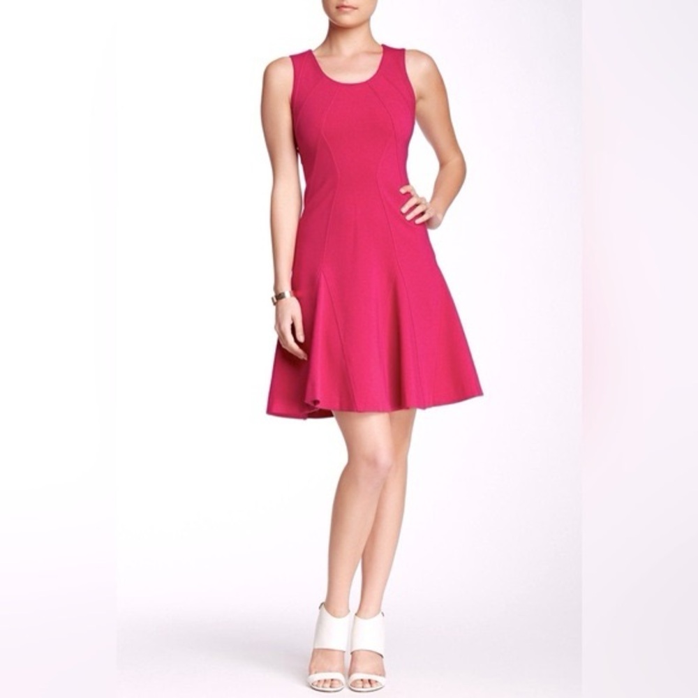 Diane Von Furstenberg Alice Fit and Flare Dress